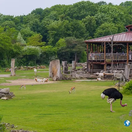 Cocoon 公寓 莱比锡