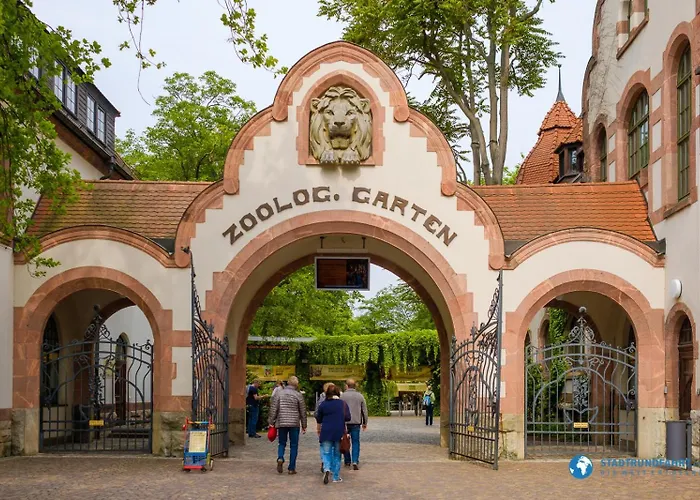 Cocoon Апартаменты