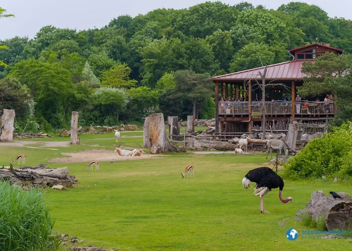 Cocoon Appartement Leipzig